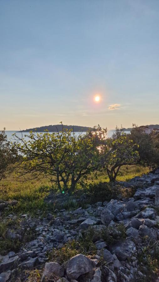 Maneni Villa Rogoznica  Eksteriør billede